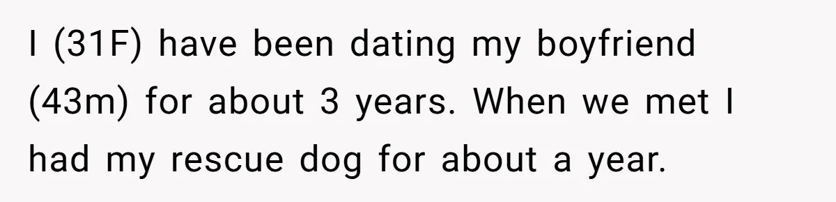I (31F) have been dating my boyfriend (43m) for about 3 years. When we met I had my rescue dog for about a year.