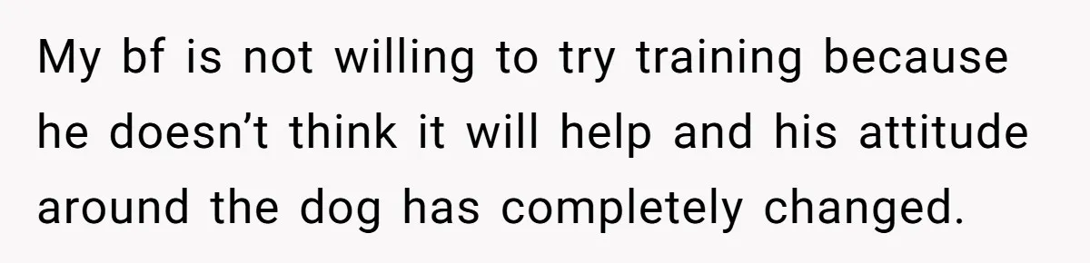 My bf is not willing to try training because he doesn’t think it will help and his attitude around the dog has completely changed.
