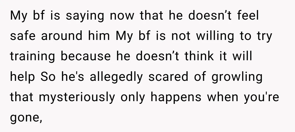 My bf is saying now that he doesn’t feel safe around him My bf is not willing to try training because he doesn’t think it will help So he's allegedly...