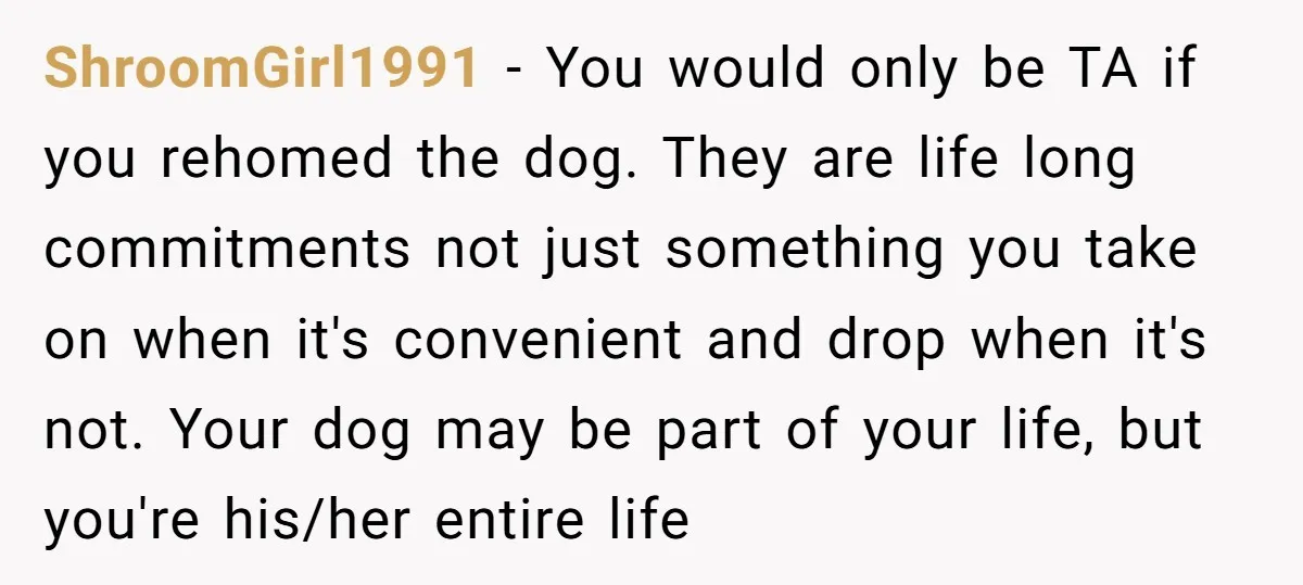 ShroomGirl1991 − You would only be TA if you rehomed the dog. They are life long commitments not just something you take on when it's convenient and drop when it's...