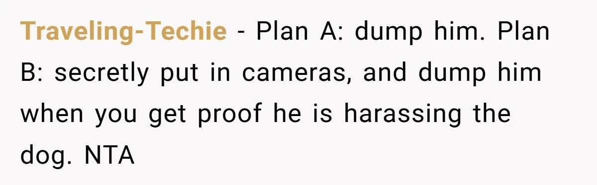Traveling-Techie − Plan A: dump him. Plan B: secretly put in cameras, and dump him when you get proof he is harassing the dog. NTA