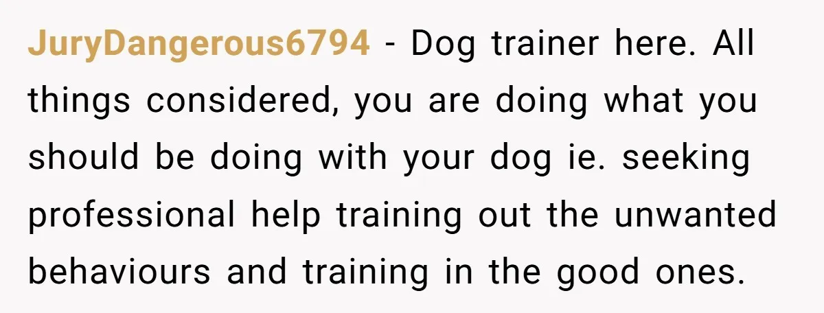 JuryDangerous6794 − Dog trainer here. All things considered, you are doing what you should be doing with your dog ie. seeking professional help training out the unwanted behaviours and training...