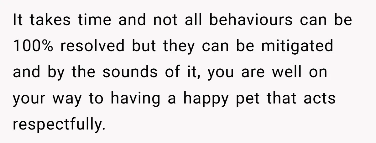It takes time and not all behaviours can be 100% resolved but they can be mitigated and by the sounds of it, you are well on your way to having...