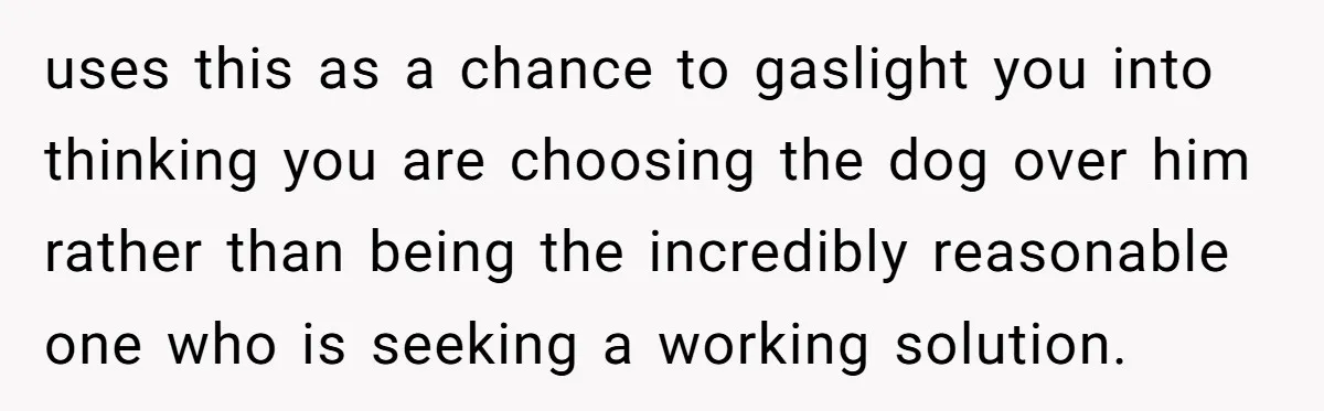 uses this as a chance to gaslight you into thinking you are choosing the dog over him rather than being the incredibly reasonable one who is seeking a working solution.