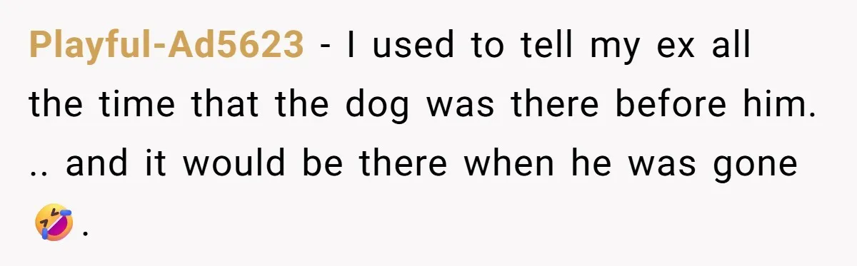 Playful-Ad5623 − I used to tell my ex all the time that the dog was there before him. .. and it would be there when he was gone🤣.