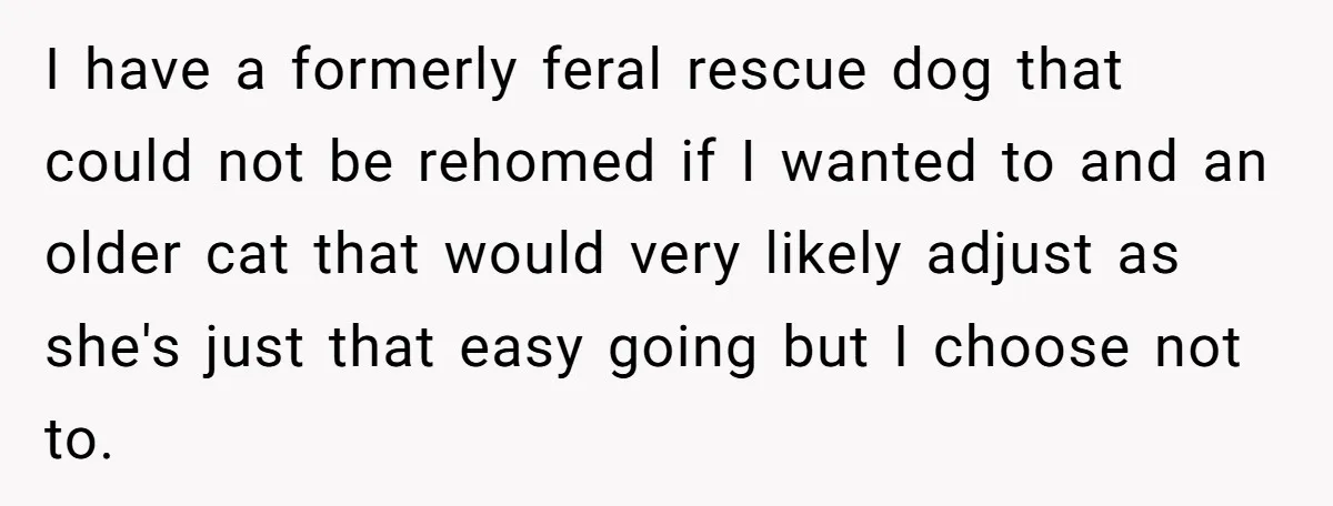 I have a formerly feral rescue dog that could not be rehomed if I wanted to and an older cat that would very likely adjust as she's just that easy...