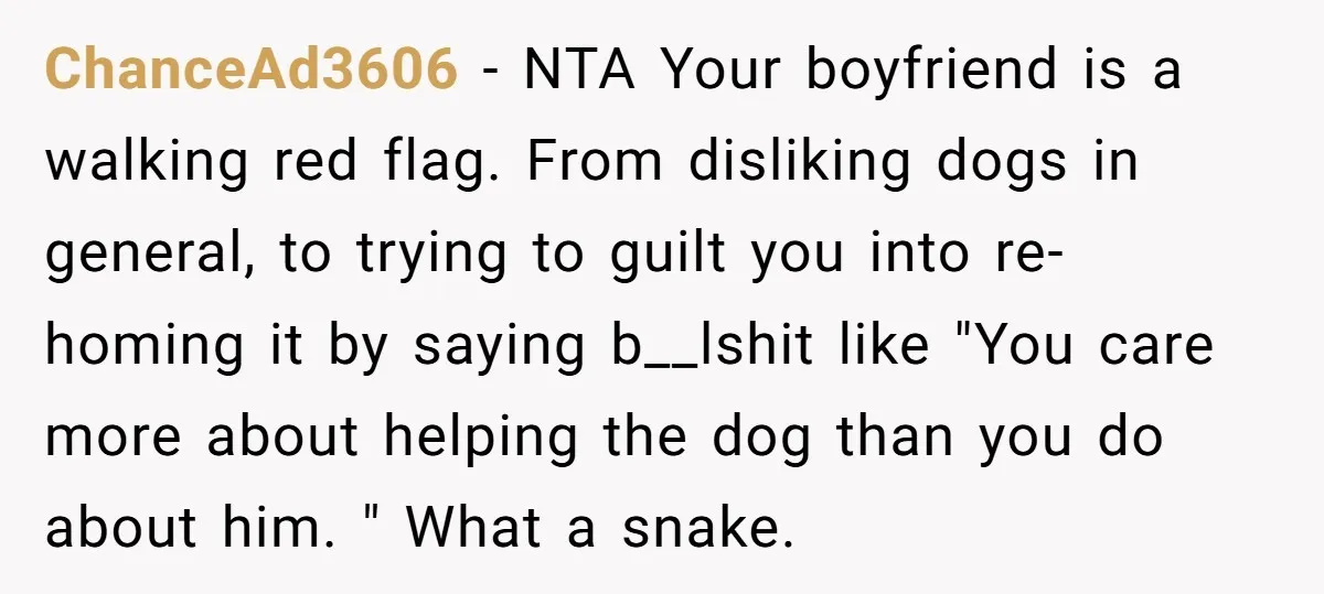 ChanceAd3606 − NTA Your boyfriend is a walking red flag. From disliking dogs in general, to trying to guilt you into re-homing it by saying b__lshit like "You care more...