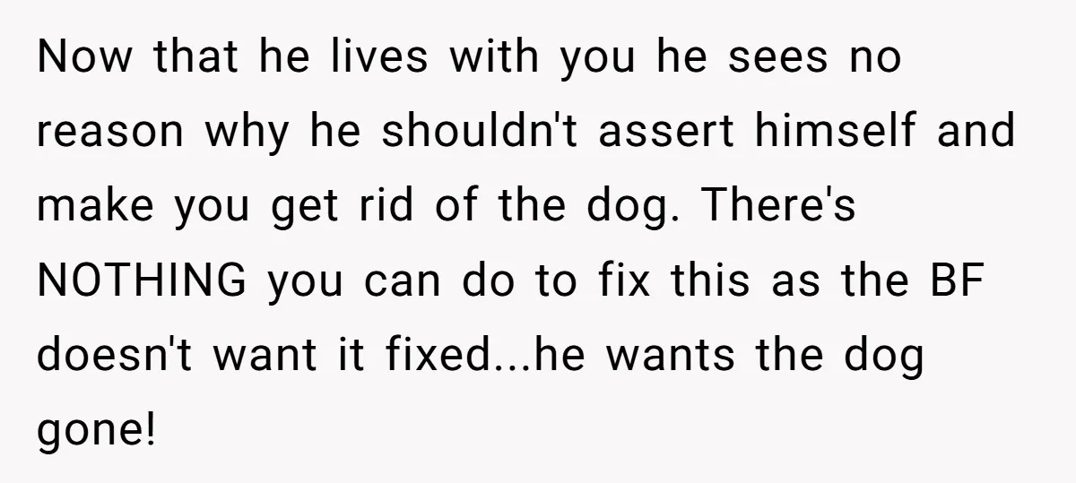 Now that he lives with you he sees no reason why he shouldn't assert himself and make you get rid of the dog. There's NOTHING you can do to fix...