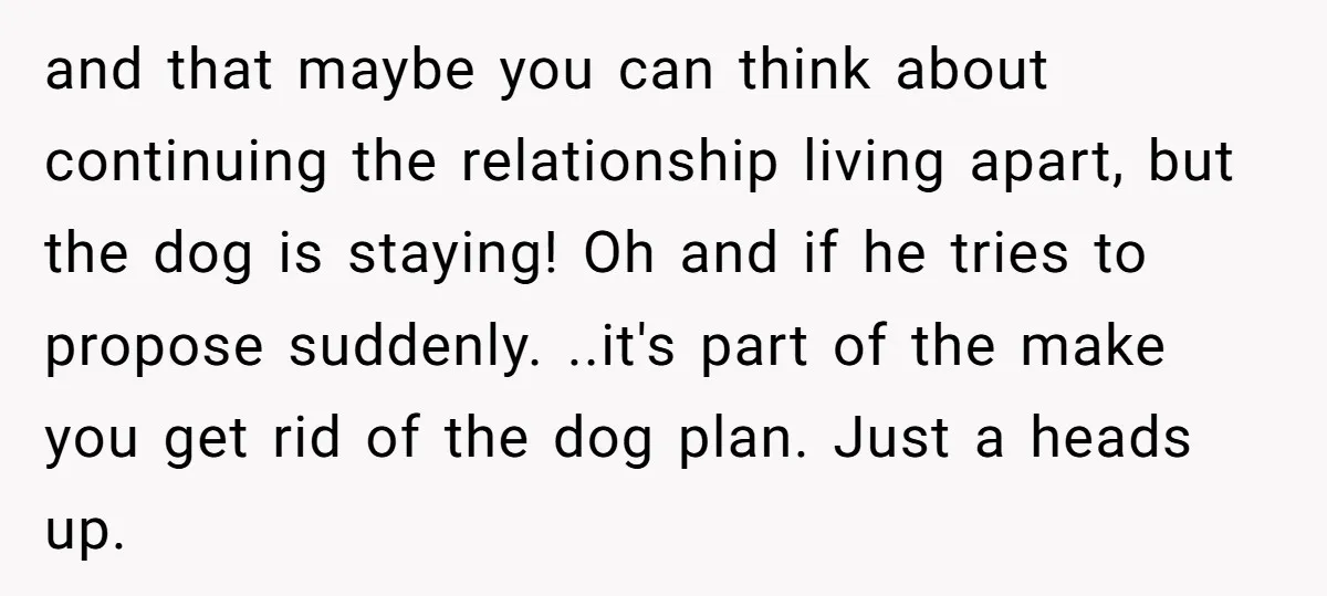 and that maybe you can think about continuing the relationship living apart, but the dog is staying! Oh and if he tries to propose suddenly. ..it's part of the make...