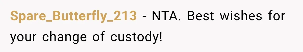 Spare_Butterfly_213 − NTA. Best wishes for your change of custody!