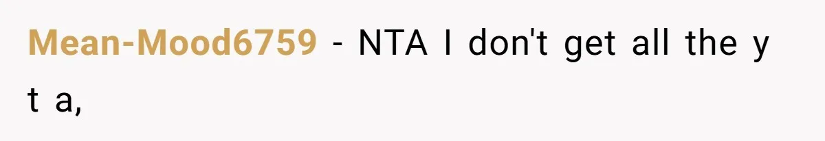 Mean-Mood6759 − NTA I don't get all the y t a,