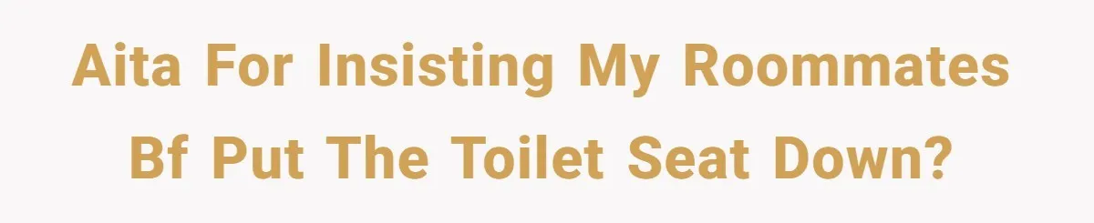 AITA for insisting my roommates BF put the toilet seat down?
