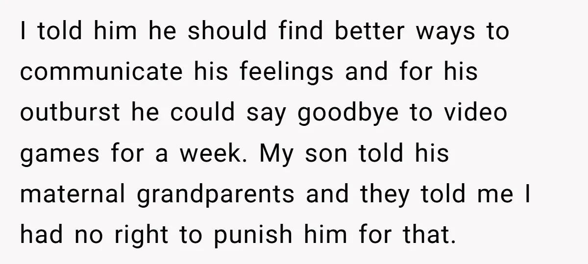 I told him he should find better ways to communicate his feelings and for his outburst he could say goodbye to video games for a week. My son told his...