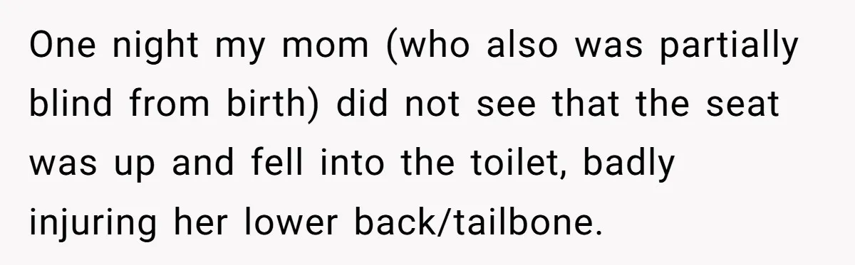 One night my mom (who also was partially blind from birth) did not see that the seat was up and fell into the toilet, badly injuring her lower back/tailbone.