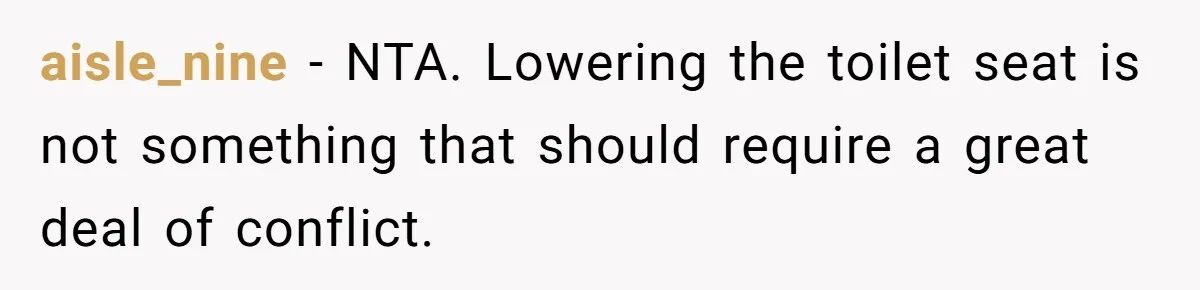 aisle_nine − NTA. Lowering the toilet seat is not something that should require a great deal of conflict.