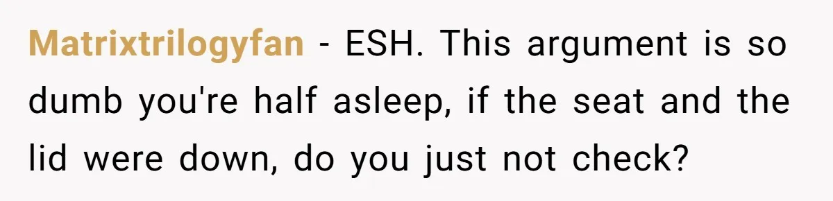 Matrixtrilogyfan − ESH. This argument is so dumb you're half asleep, if the seat and the lid were down, do you just not check?