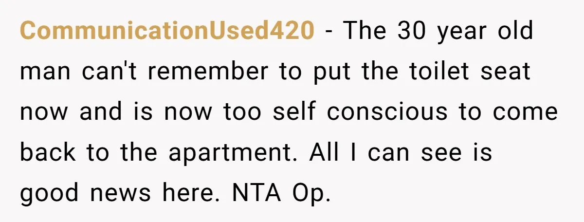 CommunicationUsed420 − The 30 year old man can't remember to put the toilet seat now and is now too self conscious to come back to the apartment. All I can...