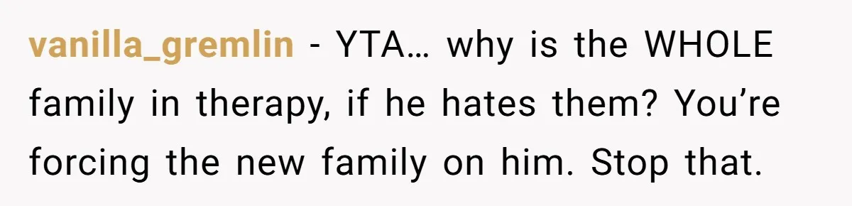 vanilla_gremlin − YTA… why is the WHOLE family in therapy, if he hates them? You’re forcing the new family on him. Stop that.