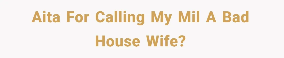 AITA for calling my MIL a bad house wife?
