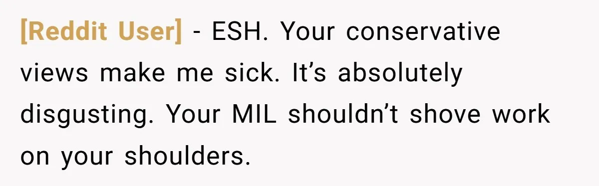 [Reddit User] − ESH. Your conservative views make me sick. It’s absolutely disgusting. Your MIL shouldn’t shove work on your shoulders.