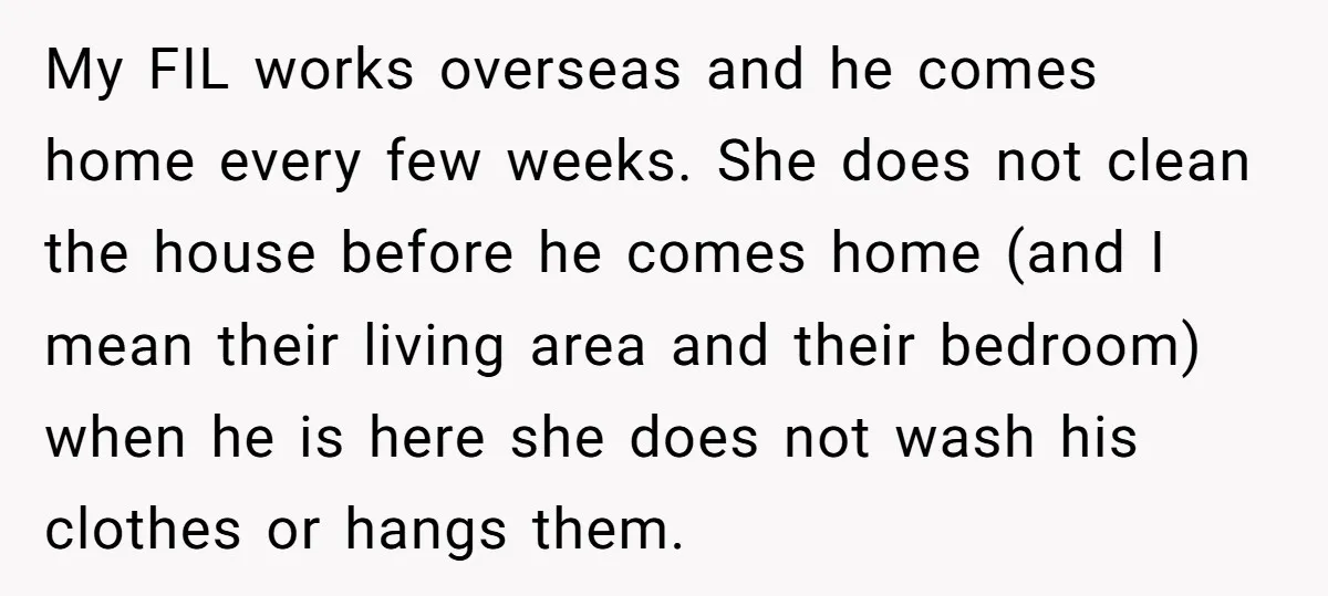 My FIL works overseas and he comes home every few weeks. She does not clean the house before he comes home (and I mean their living area and their bedroom)...