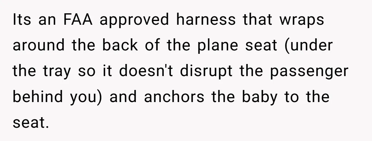 Its an FAA approved harness that wraps around the back of the plane seat (under the tray so it doesn't disrupt the passenger behind you) and anchors the baby to...