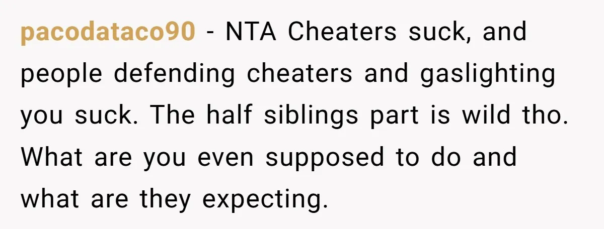 pacodataco90 − NTA Cheaters suck, and people defending cheaters and gaslighting you suck. The half siblings part is wild tho. What are you even supposed to do and what are...