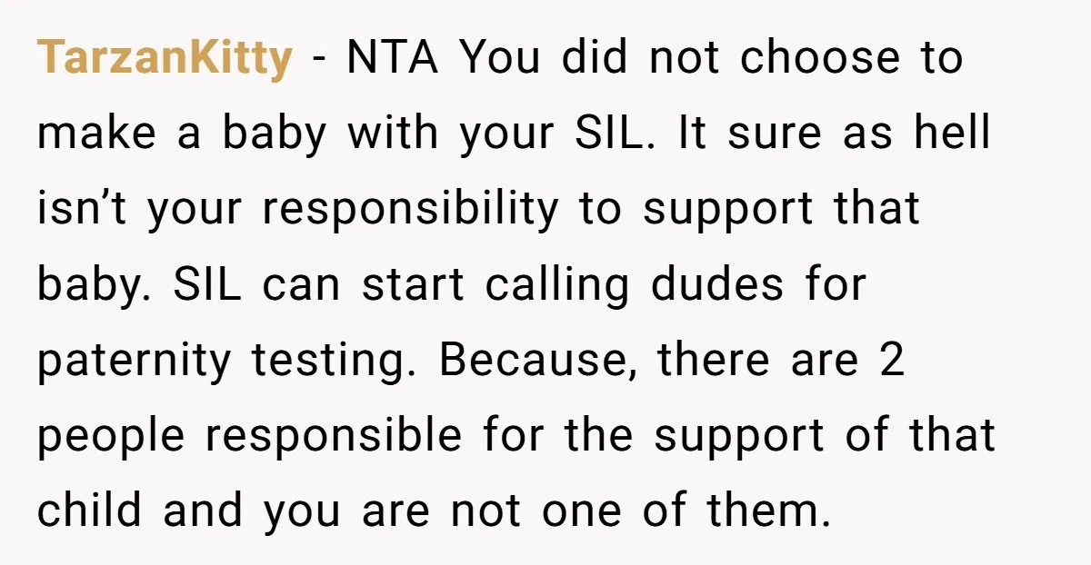 TarzanKitty − NTA You did not choose to make a baby with your SIL. It sure as hell isn’t your responsibility to support that baby. SIL can start calling dudes...