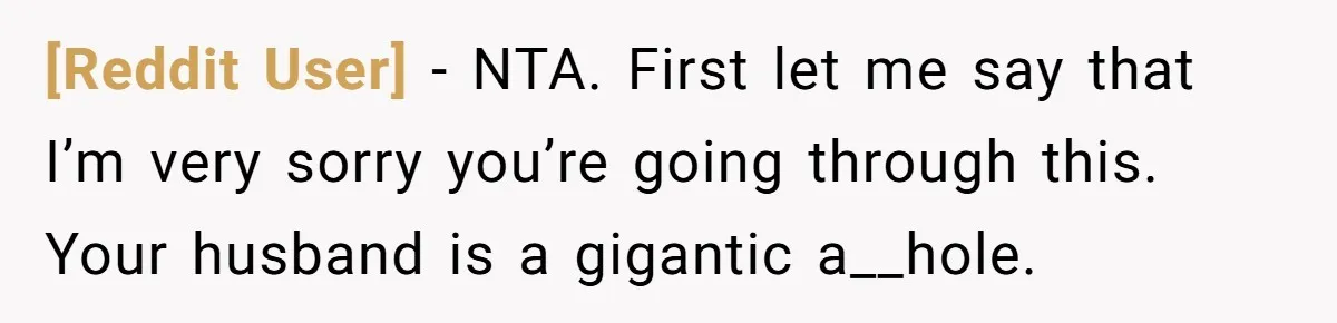 [Reddit User] − NTA. First let me say that I’m very sorry you’re going through this. Your husband is a gigantic a__hole.