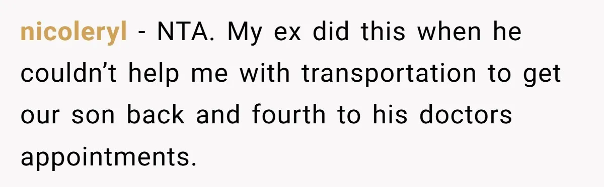 nicoleryl − NTA. My ex did this when he couldn’t help me with transportation to get our son back and fourth to his doctors appointments.