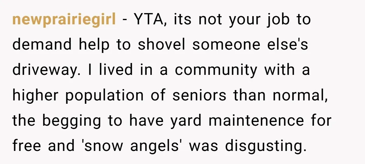 newprairiegirl − YTA, its not your job to demand help to shovel someone else's driveway. I lived in a community with a higher population of seniors than normal, the begging...