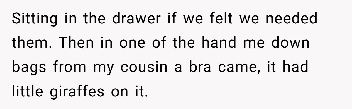 Sitting in the drawer if we felt we needed them. Then in one of the hand me down bags from my cousin a bra came, it had little giraffes on...