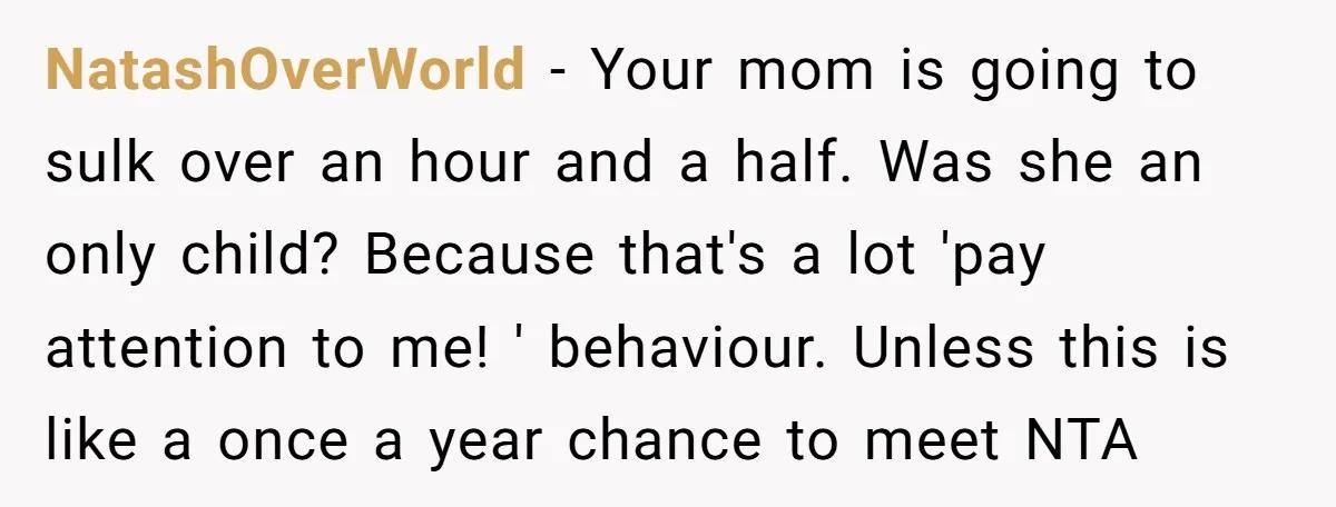 NatashOverWorld − Your mom is going to sulk over an hour and a half. Was she an only child? Because that's a lot 'pay attention to me! ' behaviour. Unless...