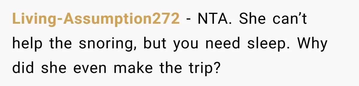 Living-Assumption272 − NTA. She can’t help the snoring, but you need sleep. Why did she even make the trip?