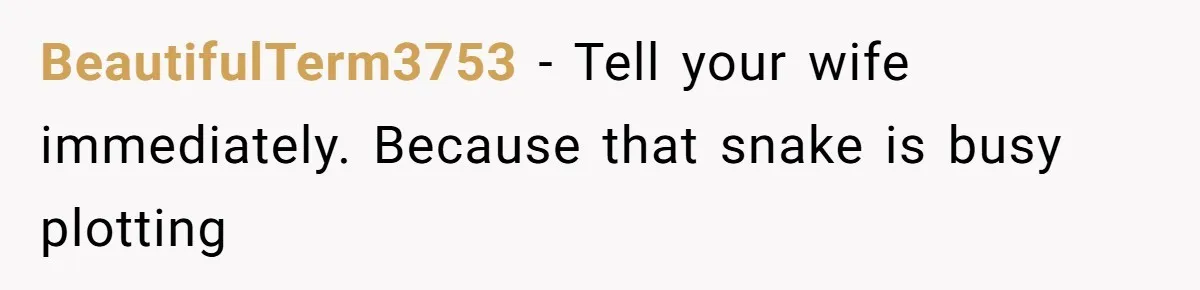 BeautifulTerm3753 − Tell your wife immediately. Because that snake is busy plotting