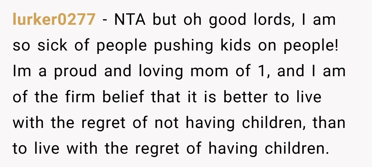 lurker0277 − NTA but oh good lords, I am so sick of people pushing kids on people! Im a proud and loving mom of 1, and I am of the...