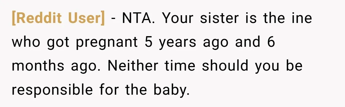 [Reddit User] − NTA. Your sister is the ine who got pregnant 5 years ago and 6 months ago. Neither time should you be responsible for the baby.