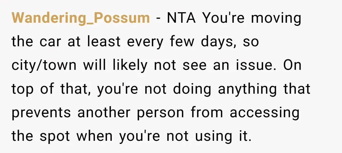 Wandering_Possum − NTA You're moving the car at least every few days, so city/town will likely not see an issue. On top of that, you're not doing anything that prevents...