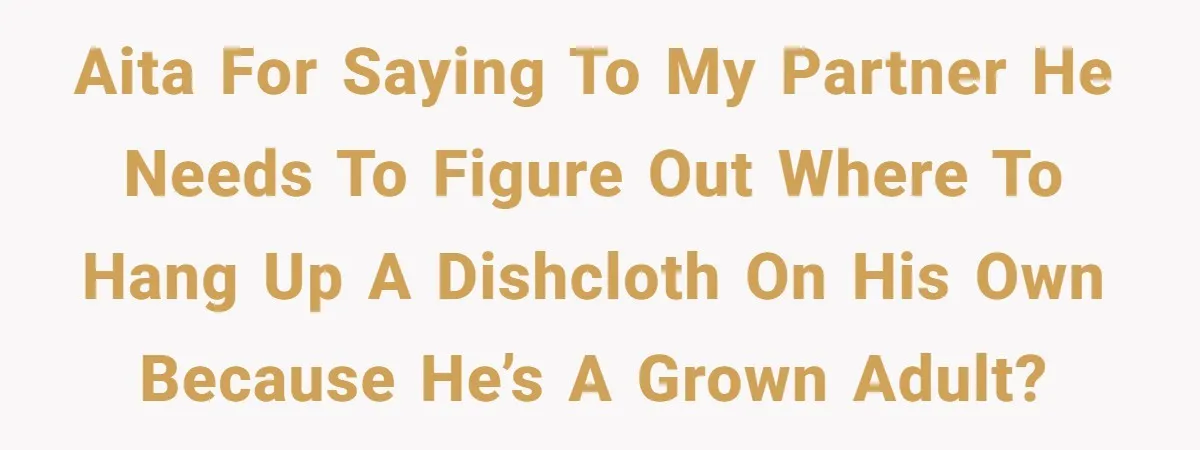 AITA for saying to my partner he needs to figure out where to hang up a dishcloth on his own because he’s a grown adult?