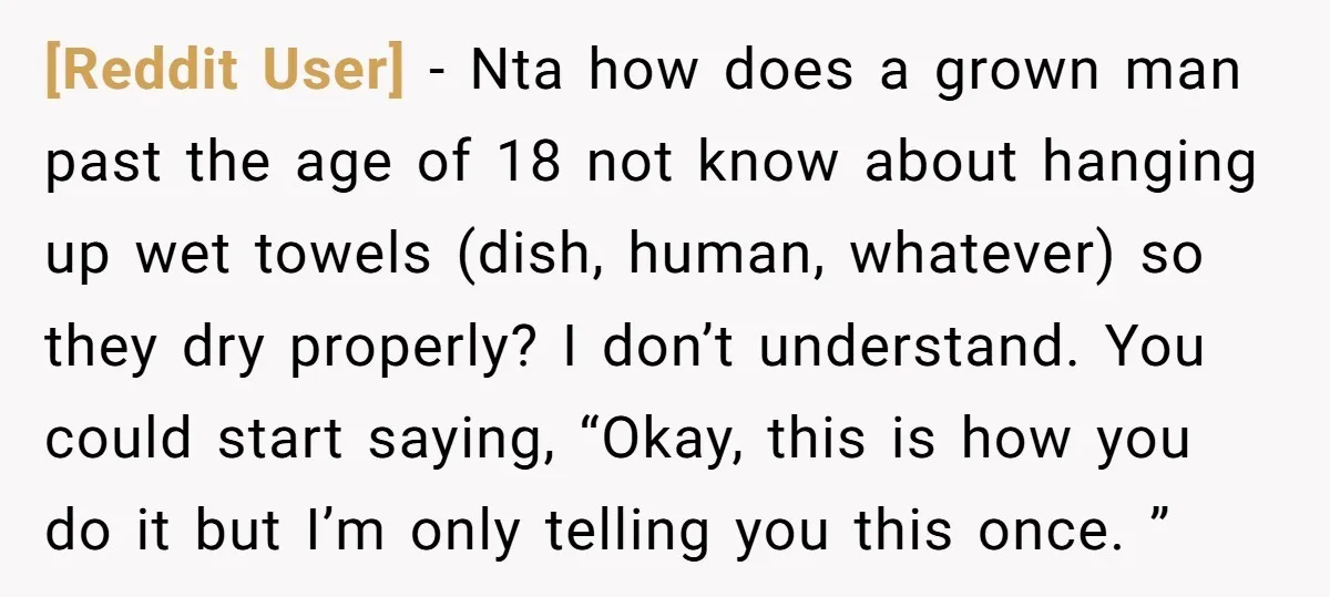 [Reddit User] − Nta how does a grown man past the age of 18 not know about hanging up wet towels (dish, human, whatever) so they dry properly? I don’t...