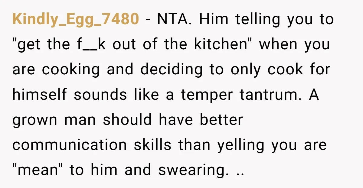 Kindly_Egg_7480 − NTA. Him telling you to "get the f__k out of the kitchen" when you are cooking and deciding to only cook for himself sounds like a temper tantrum....
