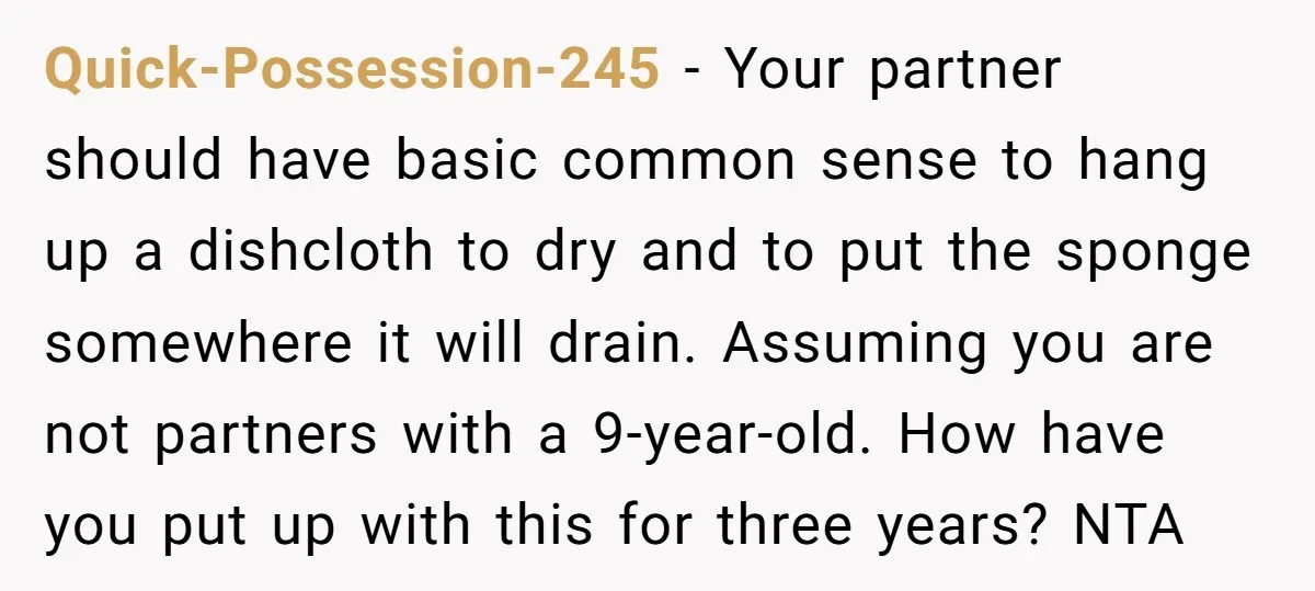 Quick-Possession-245 − Your partner should have basic common sense to hang up a dishcloth to dry and to put the sponge somewhere it will drain. Assuming you are not partners...