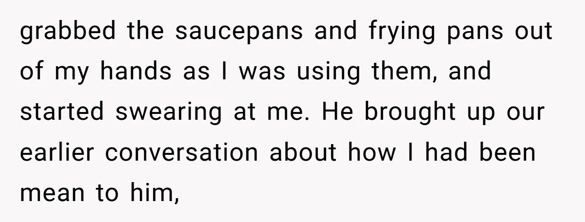 grabbed the saucepans and frying pans out of my hands as I was using them, and started swearing at me. He brought up our earlier conversation about how I had...