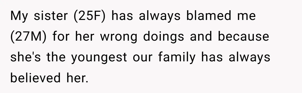My sister (25F) has always blamed me (27M) for her wrong doings and because she's the youngest our family has always believed her.