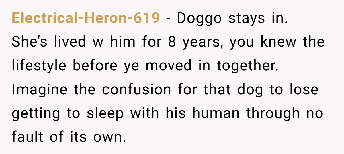 Electrical-Heron-619 − Doggo stays in. She’s lived w him for 8 years, you knew the lifestyle before ye moved in together. Imagine the confusion for that dog to lose getting...