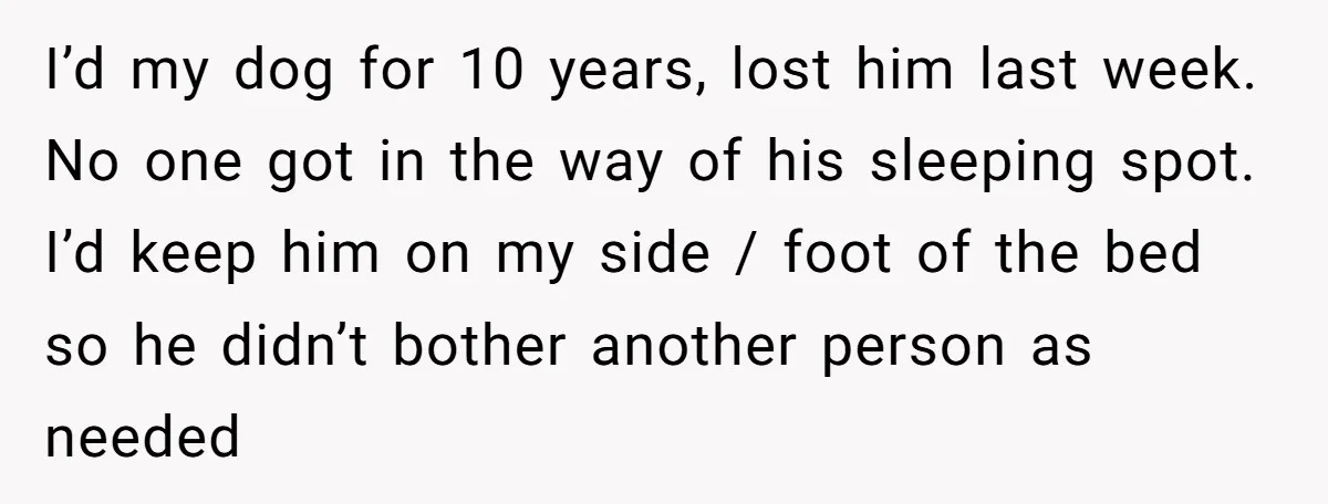 I’d my dog for 10 years, lost him last week. No one got in the way of his sleeping spot. I’d keep him on my side / foot of the...