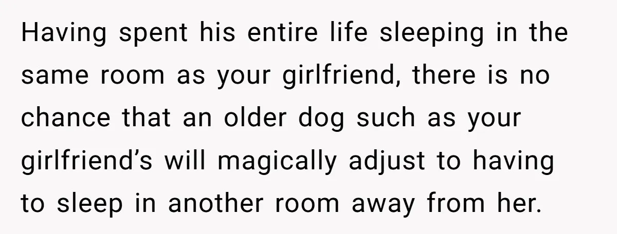 Having spent his entire life sleeping in the same room as your girlfriend, there is no chance that an older dog such as your girlfriend’s will magically adjust to having...