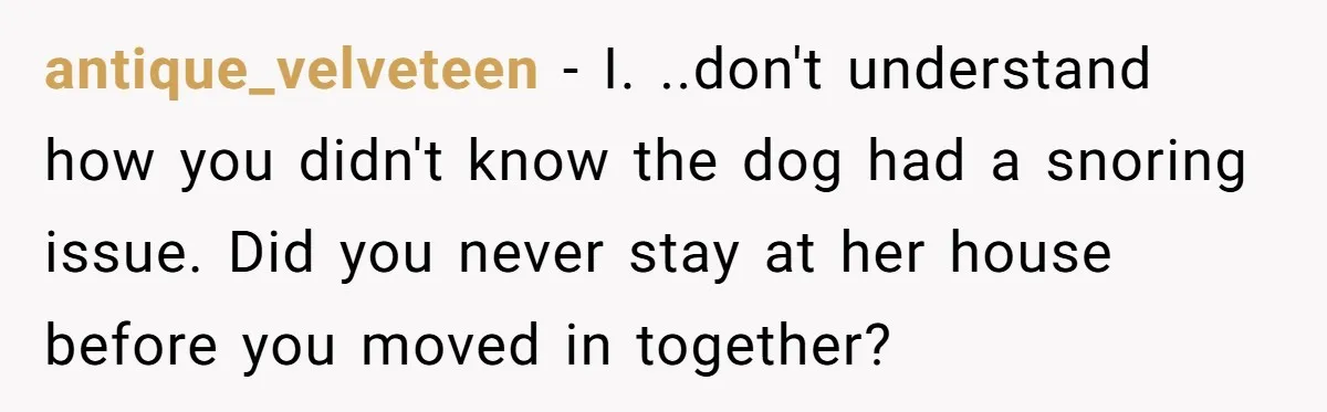antique_velveteen − I. ..don't understand how you didn't know the dog had a snoring issue. Did you never stay at her house before you moved in together?