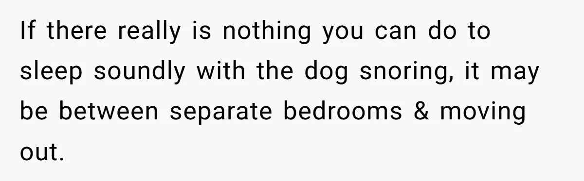 If there really is nothing you can do to sleep soundly with the dog snoring, it may be between separate bedrooms & moving out.