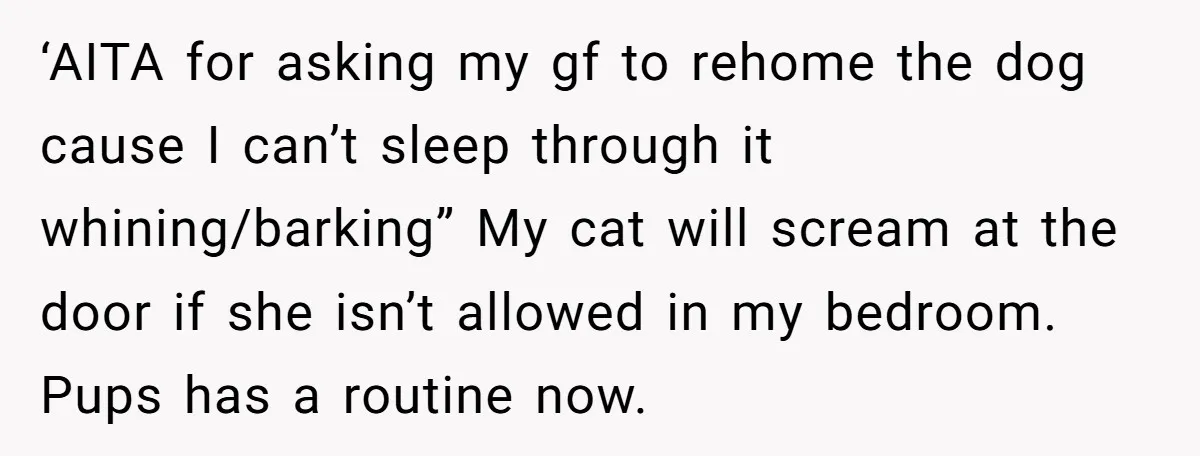 ‘AITA for asking my gf to rehome the dog cause I can’t sleep through it whining/barking” My cat will scream at the door if she isn’t allowed in my bedroom....